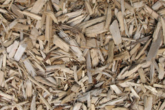 biomass boilers Meikle Whitefield